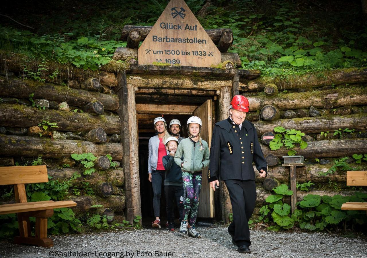 Appartements Kuckuck Leogang Kültér fotó